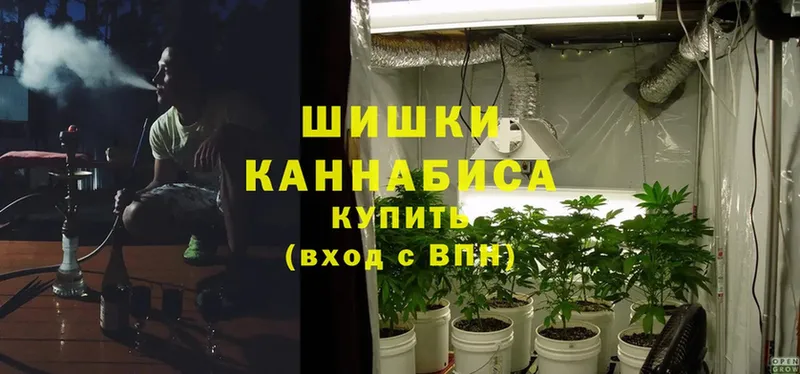 Бошки марихуана LSD WEED  кракен онион  Качканар 